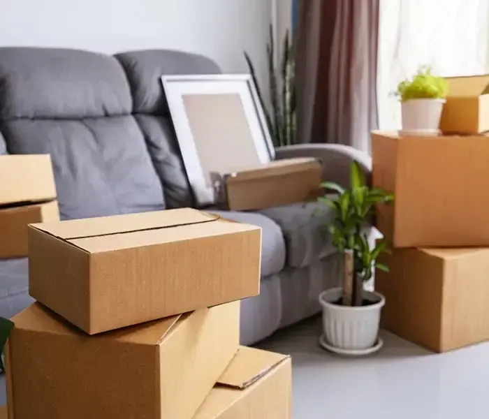 Débarras d'Appartement : Guide Pratique et Astuces ANJOU DÉBARRAS