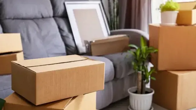 Débarras d'Appartement : Guide Pratique et Astuces ANJOU DÉBARRAS