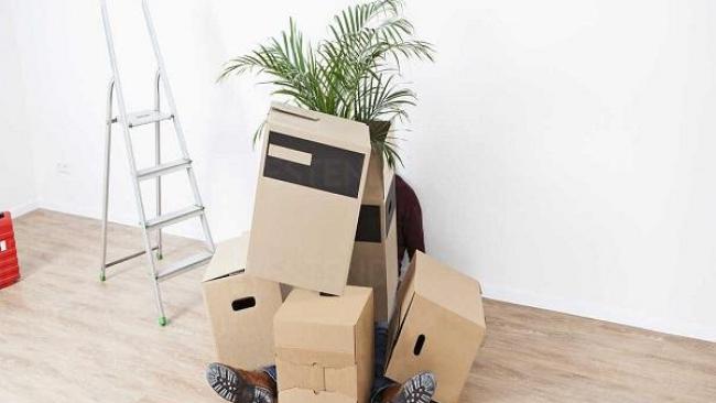 Débarras Professionnel : Avantages et Économie Durable