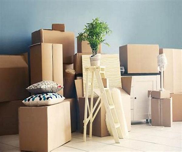 Tri et Débarras : Un Acte Écologique Essentiel