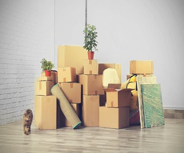 Débarras de Maison : Étapes Essentielles à Suivre
